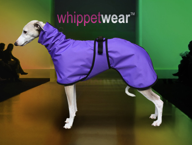 whippet coats