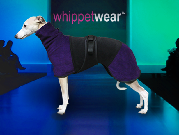 whippet accessories