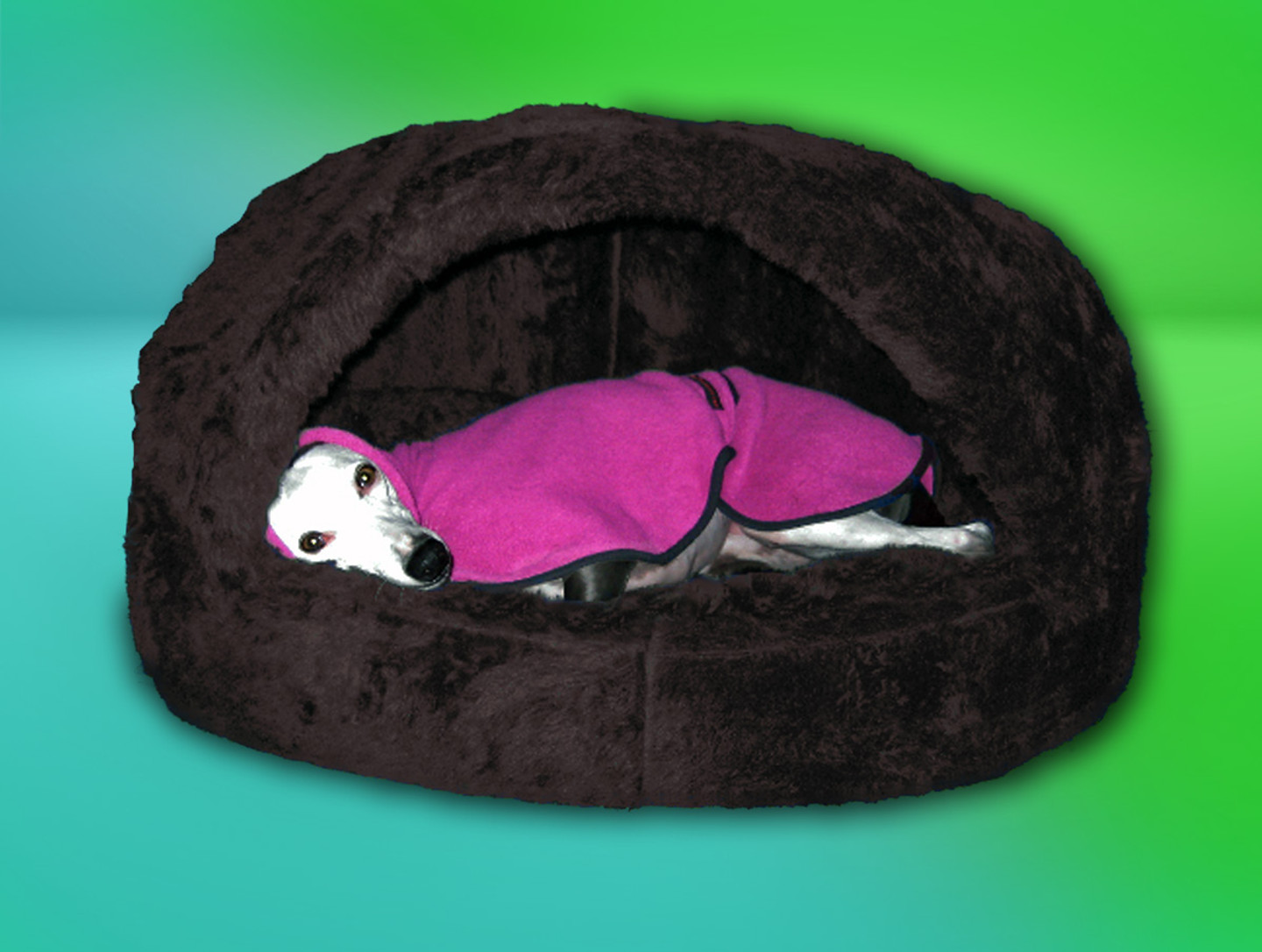 Den Luxury Whippet Bed