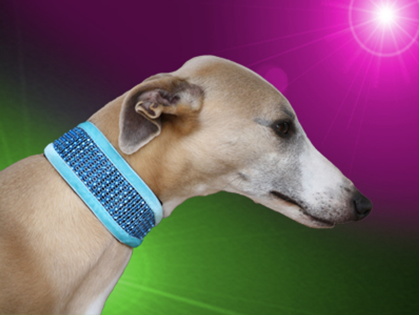 show stopper azure stars travis