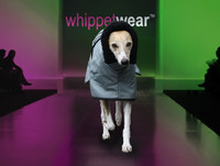 Alfresco Whippet Coat