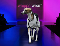 Whippet Coat - Pony