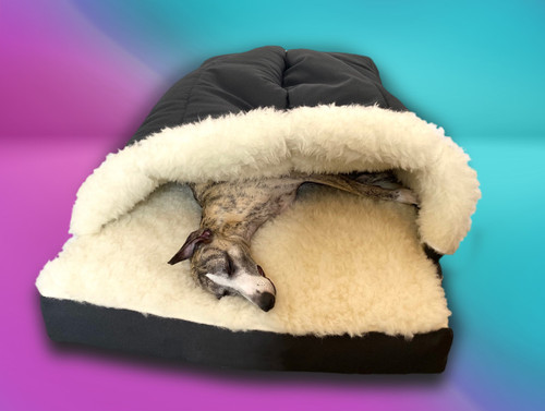 dreamtime cocoon whippet bed