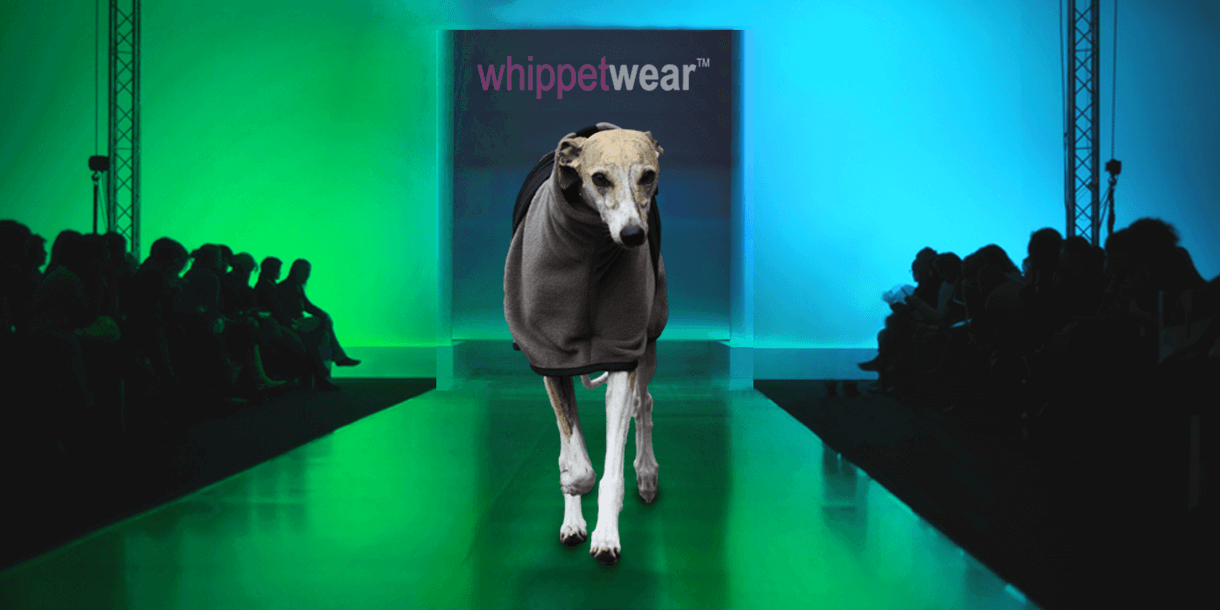 whippet wear