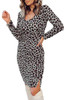 Leopard Side Split Long Sleeve Bodycon Mini Dress