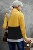 Black Zipped Colorblock Sweatshirt with Pockets