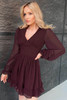 Wine Red V Neck Lantern Sleeve Swiss Dot Mini Dress