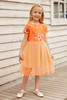 Orange Short Sleeves Floral Bodice Empire Waist Kids' Tulle Dress