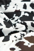 Cow Print Straight Leg Drawstring Mid Waist Shorts