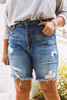 Sky Blue Plus Size High Waist Distressed Frayed Denim Shorts