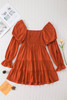Brown Boho Solid Shirred Ruffle Mini Dress