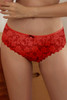 Red Strappy Crisscross Floret Lace Pantie