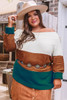 Brown Plus Size Ribbed Trim Color Block Sweater