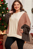 Brown Exposed Seam Colorblock Plus Size Hoodie