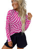 Rose Checkered Pattern Mesh Mock Neck Long Sleeve Top