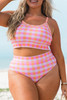 Pink Plus Size Plaid Print High Waist Bikini Set