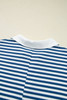 Blue Stripe Short Sleeve Collared V Neck Top Plus Size Short Set Blue Stripe Short Sleeve Collared V Neck Top Plus Size Short Set