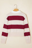 Brown Ribbed Trim Color Block Knitted Polo Collar Sweater