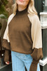 Desert Palm Colorblock Raglan Puff Sleeve Mock Neck Sweater
