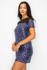 Sparkle Sequins & Mesh Cap Sleeve Mini Dress