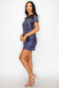 Sparkle Sequins & Mesh Cap Sleeve Mini Dress
