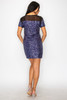 Sparkle Sequins & Mesh Cap Sleeve Mini Dress