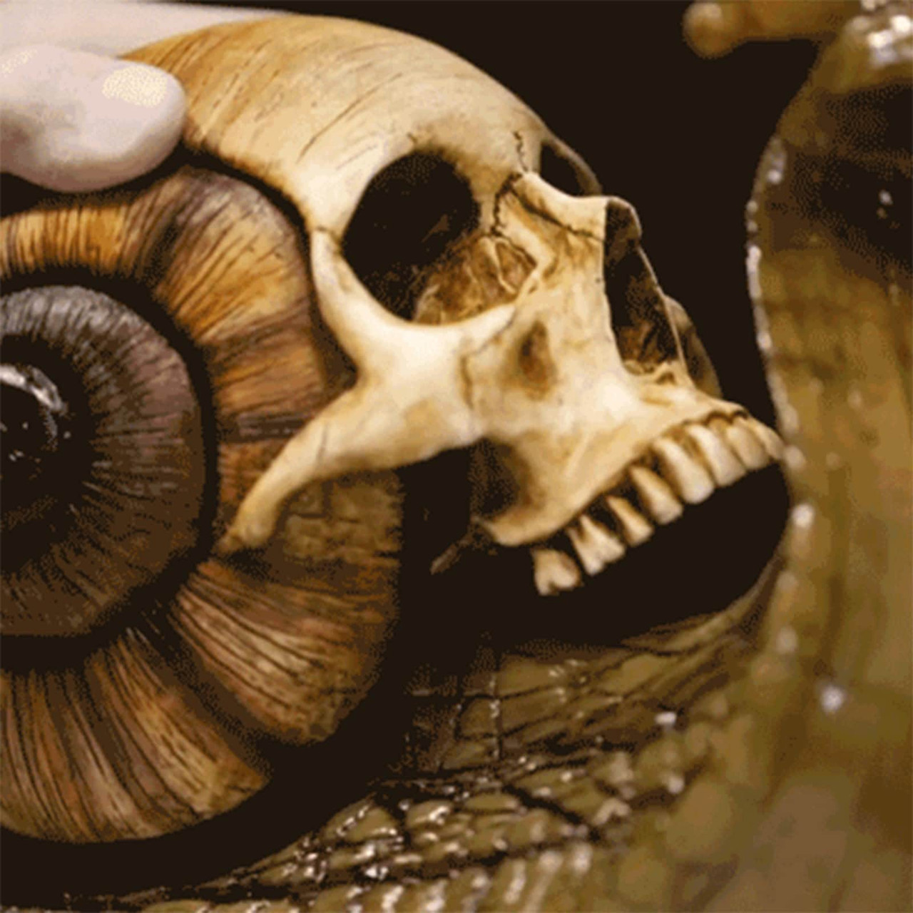 Snail Skull Sculpture Gothic Decoration Snail Statue Patio