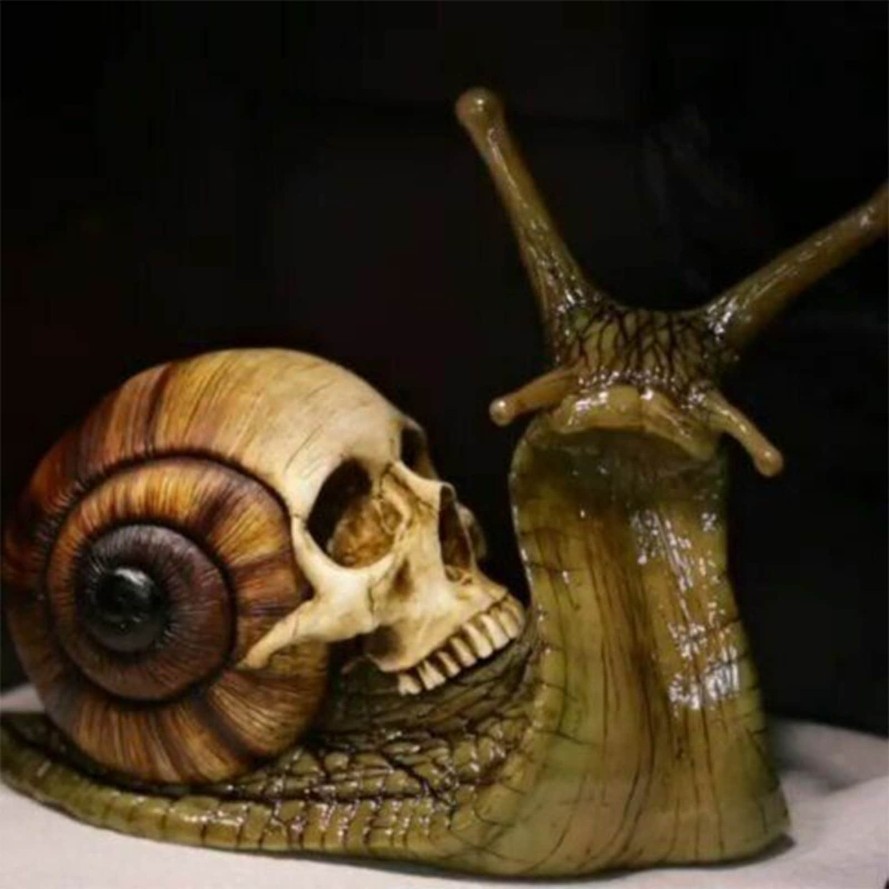 Snail Skull Sculpture Gothic Decoration Snail Statue Patio