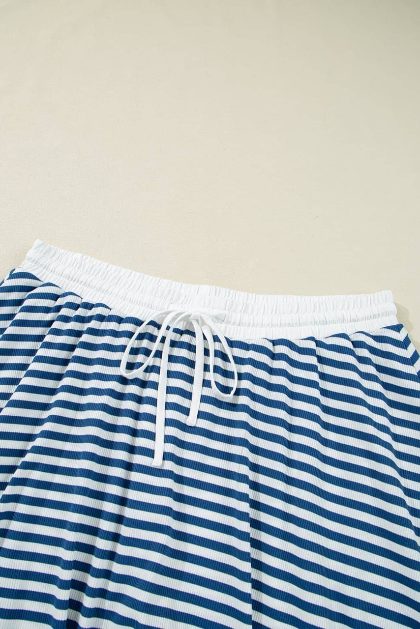 Blue Stripe Short Sleeve Collared V Neck Top Plus Size Short Set Blue Stripe Short Sleeve Collared V Neck Top Plus Size Short Set