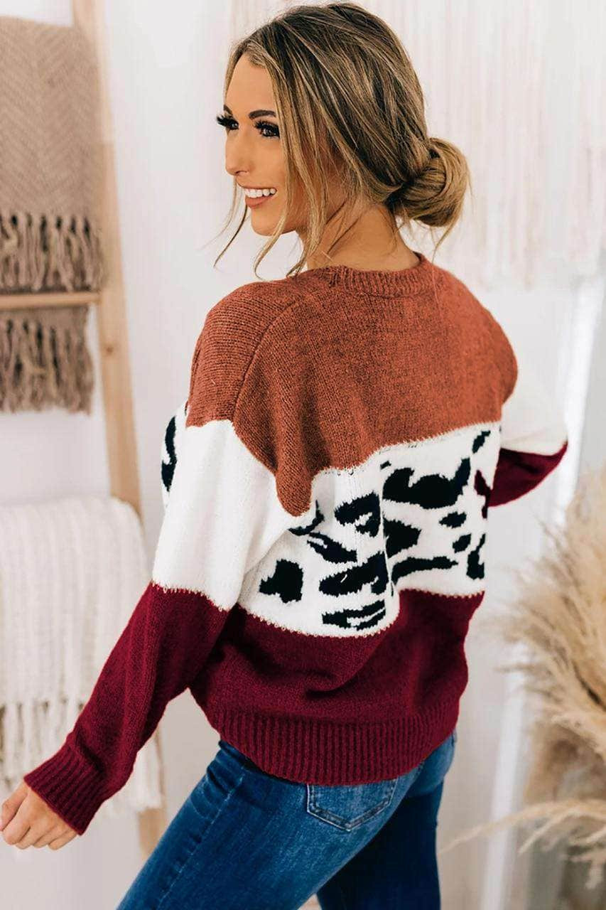 Brown Color Block Leopard Splicing Sweater