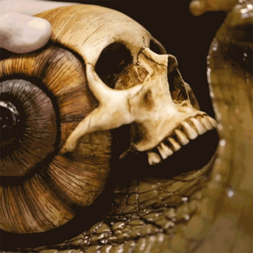 Snail Skull Sculpture Gothic Decoration Snail Statue Patio