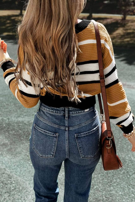 Brown Stripe Contrast Stripes V Neck Textured Knit Sweater Brown Stripe Contrast Stripes V Neck Textured Knit Sweater
