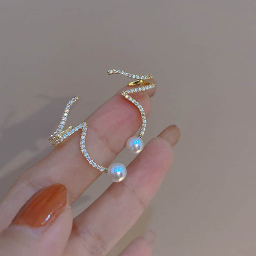 Fashion Personality Wild Earrings Women Fashion Personality Wild Earrings Women