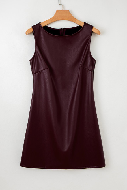 Wild Ginger  Vegan Leather Sleeveless Mini Dress