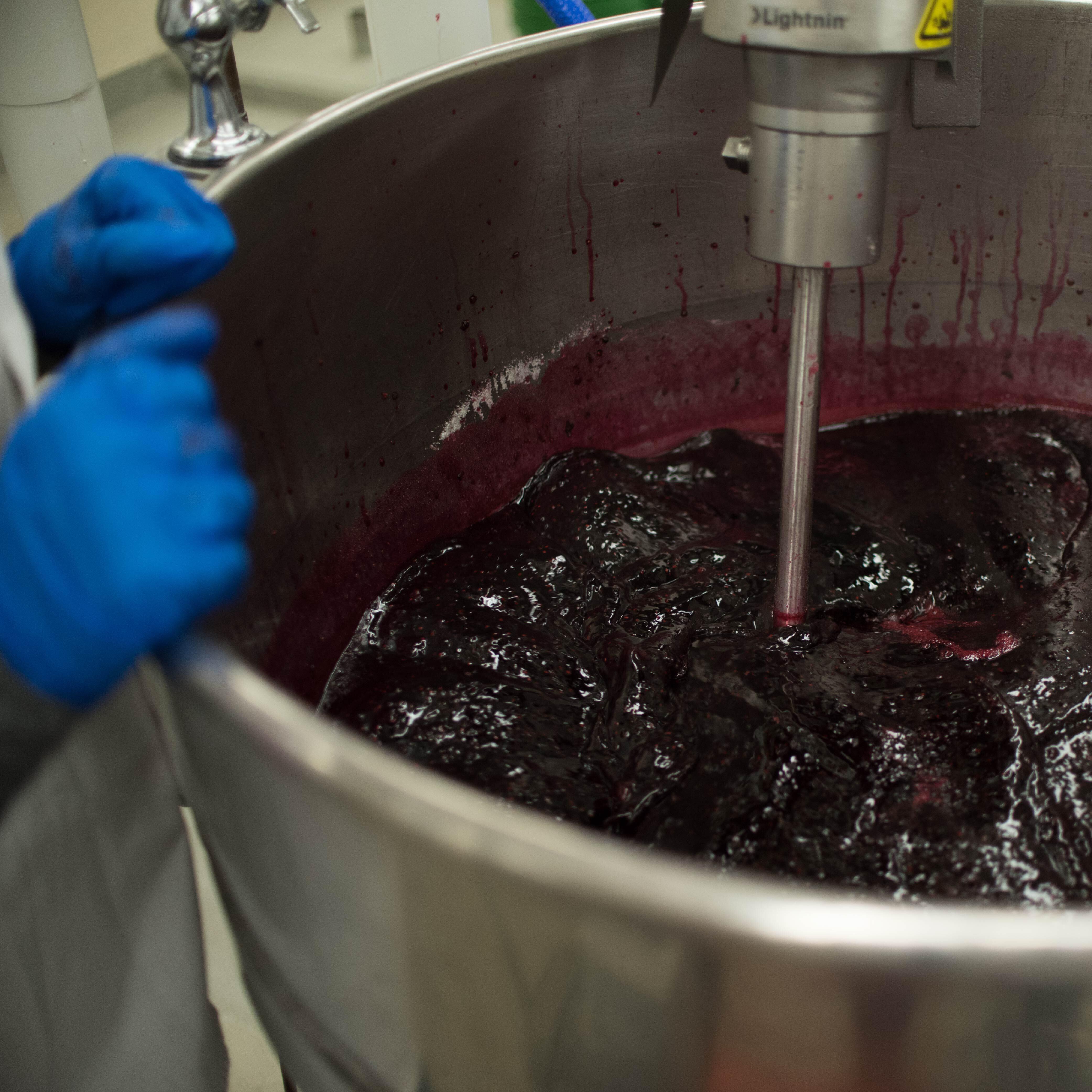 Mixing and heating sugar and berries in steam jacketed kettle