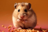 Best Ways to Understand and Improve Your Pet’s Daily Health