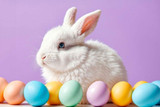 Simple Pet Care Tips Every Responsible Animal Owner Should Know