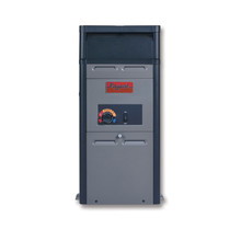 RayPak 105,000 BTU Electronic Natural Gas Heater 106A   thumbnail 1