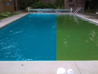 The Terminator Opening Chemical 1kg Pool Start-Up Treatment