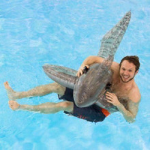 Pool Shark Inflatable 72 Inch Pool Float thumbnail 2