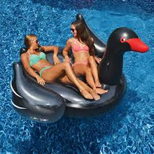 Giant Black Swan Inflatable Pool Float Ride-On thumbnail 1