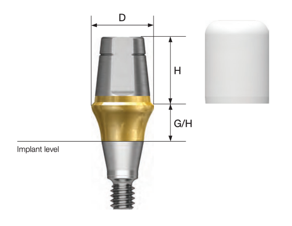 Rigid Abutment