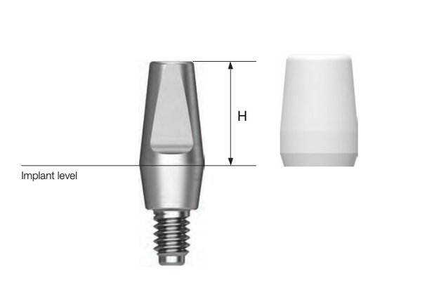 Solid Abutment