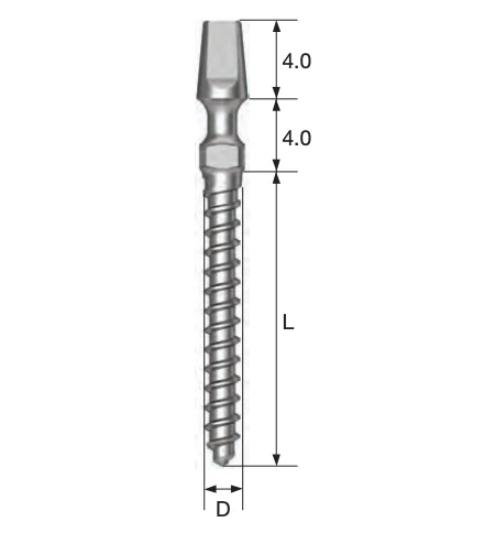 MS Implant Provisional