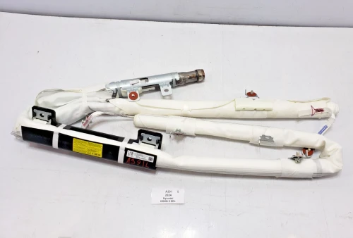 2022-2024 Hyundai Ioniq 5 Driver Roof Curtain SEL Used OEM Airbag