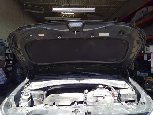2019 Hyundai Santa Fe Passenger Roof Curtain US Built Used OEM Airbag