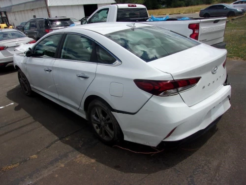 2018-2019 Hyundai Sonata Passenger Roof Curtain US Built Used OEM Airbag