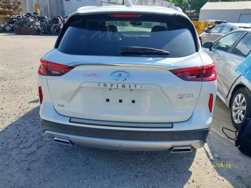 Infiniti QX50 Passenger Roof Curtain Used OEM Airbag