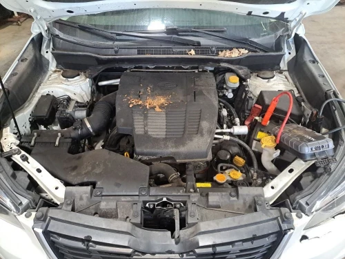 2019-2025 Subaru Forester Driver Knee Used OEM Airbag