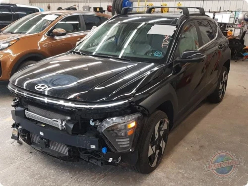 2025 Hyundai Kona Used OEM EVAP Vapor Charcoal Canister